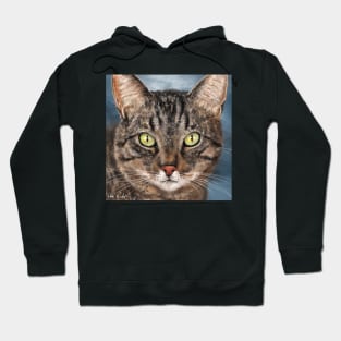 Painting of a Gray Cat Head with Big Penetrating Green Eyes Hoodie